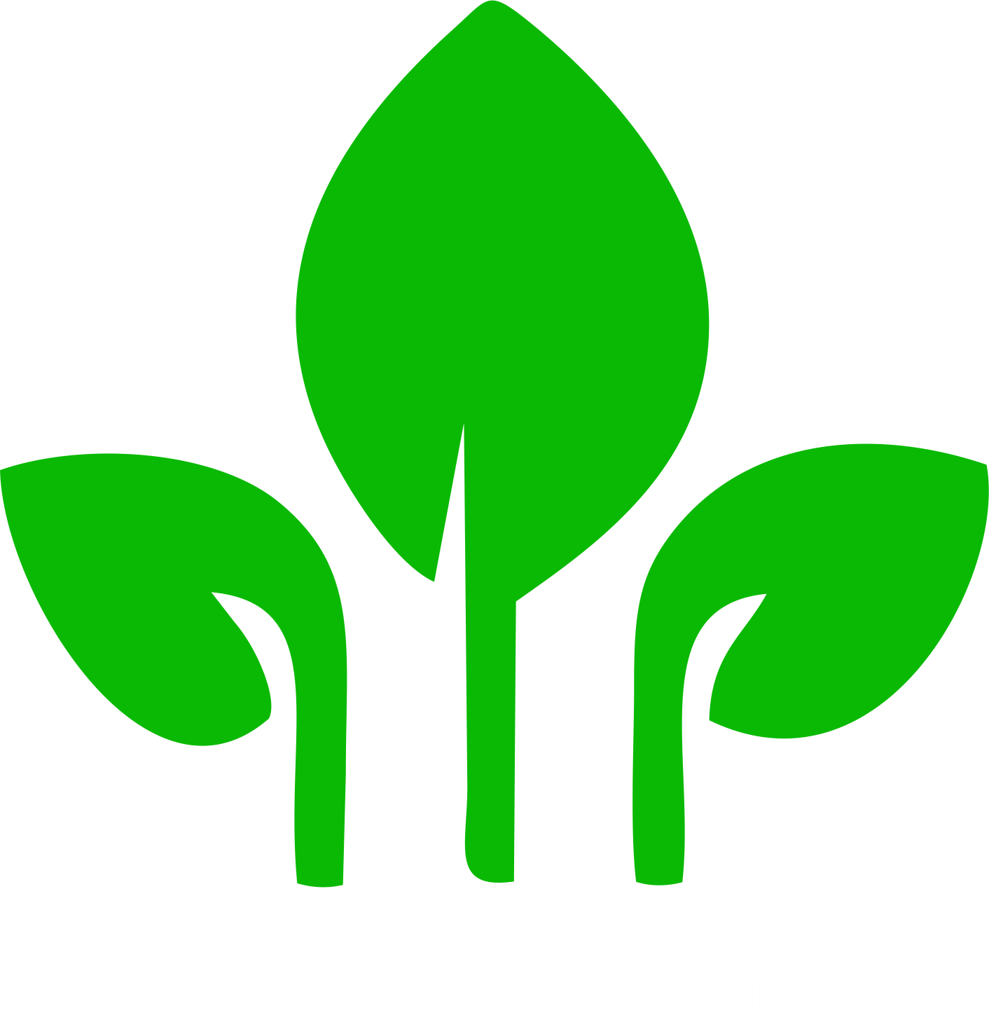 Skin Healer Logo